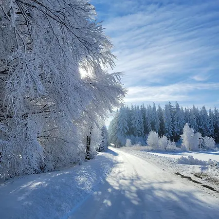 Chalet Magnifique En Bord De *